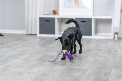 Product image of:TRIXIE HONDENSPEELGOED AUBERGINE AAN KOORD TPR