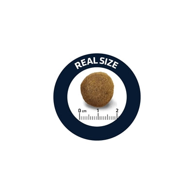 Product image of:ADVANCE ADULT DUITSE HERDER