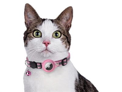 Product image of:CROCI HALSBAND KAT MET TAG HOUDER ROZE