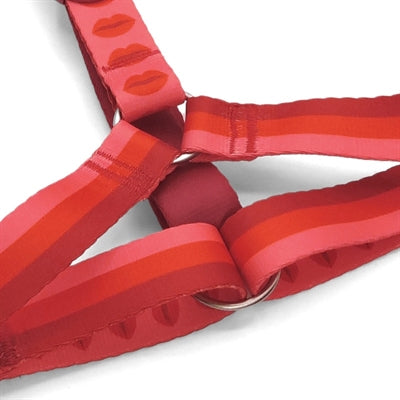 Product image of:MORSO HONDENTUIG H-TUIG GERECYCLED LIPSTICK ROZE