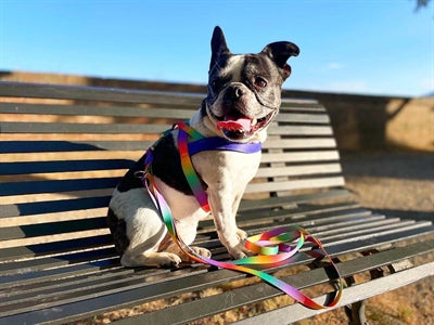 Product image of:MORSO NORWEGIAN HONDENTUIG GERECYCLED SPRING BLOSSOM