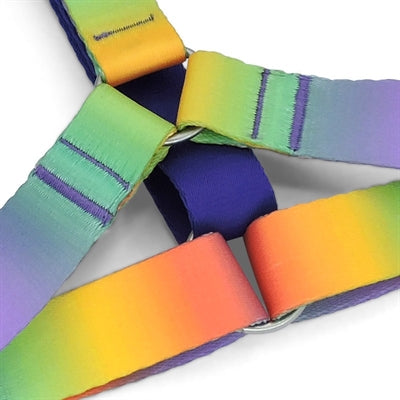 Product image of:MORSO HONDENTUIG H-TUIG GERECYCLED SPRING BLOSSOM