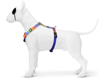 Product image of:MORSO HONDENTUIG H-TUIG GERECYCLED SPRING BLOSSOM