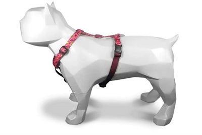 Product image of:MORSO HONDENTUIG H-TUIG GERECYCLED PINK THINK ROZE