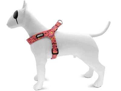 Product image of:MORSO MINI HONDENTUIG VERSTELBAAR GERECYCLED PINK THINK ROZE