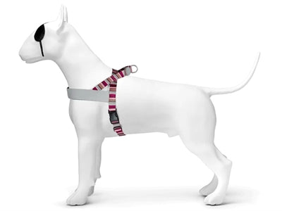 Product image of:MORSO NORWEGIAN HONDENTUIG GERECYCLED SKYLINE ROOD / ROZE