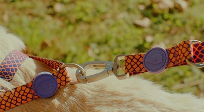 Product image of:MORSO HONDENRIEM VERSTELBAAR GERECYCLED URBAN LIZARD ROOD