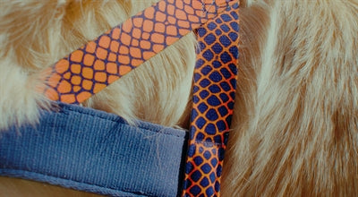 Product image of:MORSO NORWEGIAN HONDENTUIG GERECYCLED URBAN LIZARD ROOD