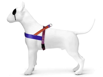 Product image of:MORSO NORWEGIAN HONDENTUIG GERECYCLED URBAN LIZARD ROOD