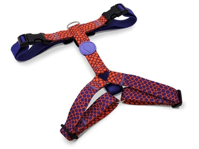 Product image of:MORSO HONDENTUIG H-TUIG GERECYCLED URBAN LIZARD ROOD