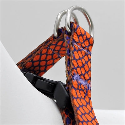 Product image of:MORSO MINI HONDENTUIG VERSTELBAAR GERECYCLED URBAN LIZARD ROOD