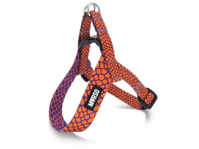 Product image of:MORSO MINI HONDENTUIG VERSTELBAAR GERECYCLED URBAN LIZARD ROOD