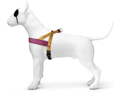 Product image of:MORSO NORWEGIAN HONDENTUIG GERECYCLED JUNGLE DRUM ORANJE