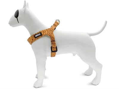 Product image of:MORSO MINI HONDENTUIG VERSTELBAAR GERECYCLED JUNGLE DRUM ORANJE