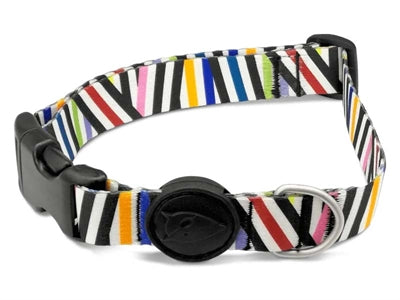 Product image of:MORSO HALSBAND HOND GERECYCLED SPAGHETTI INCIDENT
