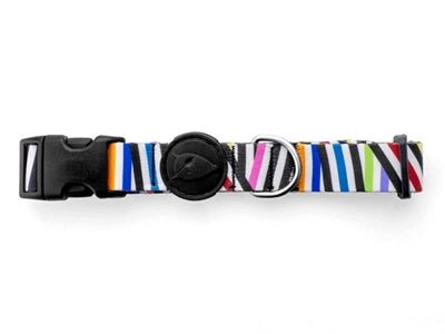 Product image of:MORSO HALSBAND HOND GERECYCLED SPAGHETTI INCIDENT
