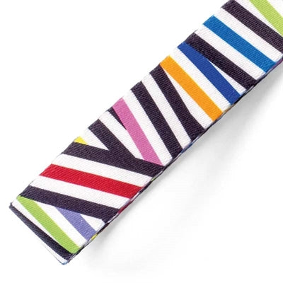 Product image of:MORSO HONDENRIEM VERSTELBAAR GERECYCLED SPAGHETTI INCIDENT