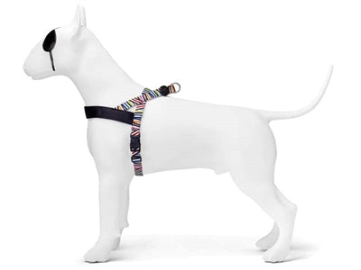 Product image of:MORSO NORWEGIAN HONDENTUIG GERECYCLED SPAGHETTI INCIDENT