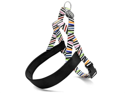 Product image of:MORSO NORWEGIAN HONDENTUIG GERECYCLED SPAGHETTI INCIDENT