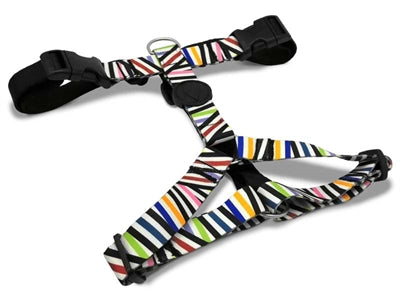 Product image of:MORSO HONDENTUIG H-TUIG GERECYCLED SPAGHETTI INCIDENT