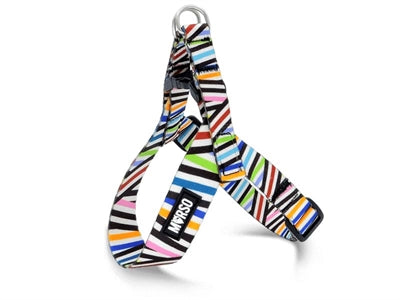 Product image of:MORSO MINI HONDENTUIG VERSTELBAAR GERECYCLED SPAGHETTI INCIDENT