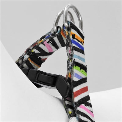 Product image of:MORSO MINI HONDENTUIG VERSTELBAAR GERECYCLED SPAGHETTI INCIDENT