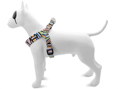 Product image of:MORSO MINI HONDENTUIG VERSTELBAAR GERECYCLED SPAGHETTI INCIDENT