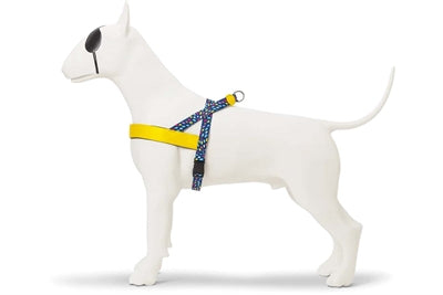 Product image of:MORSO NORWEGIAN HONDENTUIG GERECYCLED COLOR INVADERS PAARS