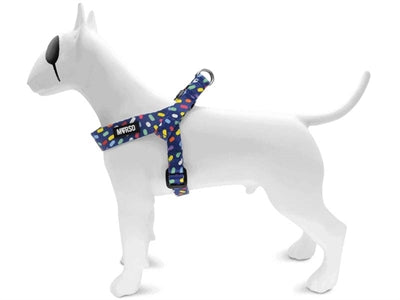 Product image of:MORSO MINI HONDENTUIG VERSTELBAAR GERECYCLED COLOR INVADERS PAARS