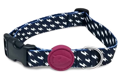 Product image of:MORSO HALSBAND HOND GERECYCLED POWER FLOW ZWART