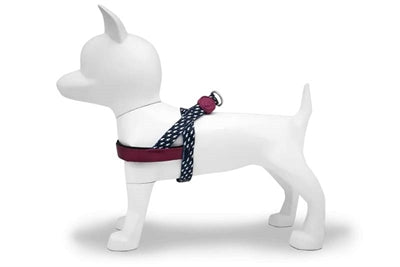 Product image of:MORSO NORWEGIAN HONDENTUIG GERECYCLED POWER FLOW ZWART