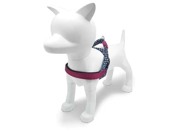 Product image of:MORSO NORWEGIAN HONDENTUIG GERECYCLED POWER FLOW ZWART