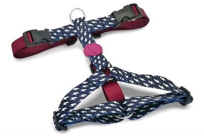 Product image of:MORSO HONDENTUIG H-TUIG GERECYCLED POWER FLOW ZWART