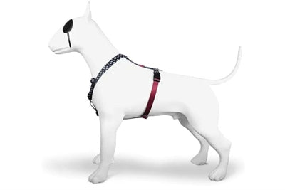 Product image of:MORSO HONDENTUIG H-TUIG GERECYCLED POWER FLOW ZWART