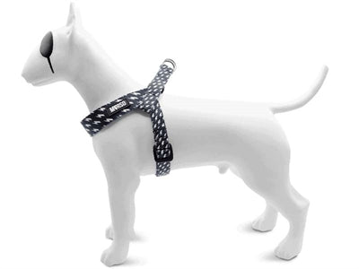 Product image of:MORSO MINI HONDENTUIG VERSTELBAAR GERECYCLED POWER FLOW ZWART