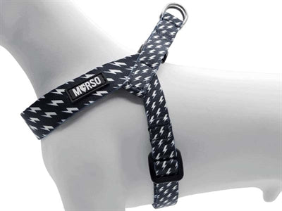 Product image of:MORSO MINI HONDENTUIG VERSTELBAAR GERECYCLED POWER FLOW ZWART