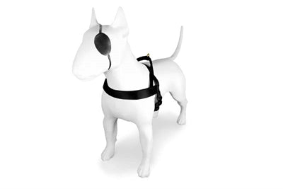 Product image of:MORSO NORWEGIAN HONDENTUIG GERECYCLED GOLD CAVIAR GOUD