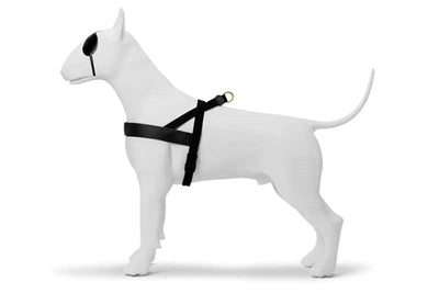 Product image of:MORSO NORWEGIAN HONDENTUIG GERECYCLED GOLD CAVIAR GOUD