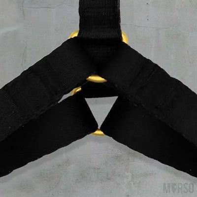 Product image of:MORSO HONDENTUIG H-TUIG GERECYCLED GOLD CAVIAR GOUD