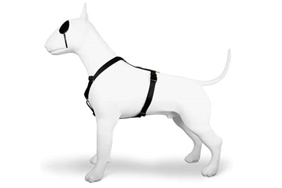 Product image of:MORSO HONDENTUIG H-TUIG GERECYCLED GOLD CAVIAR GOUD