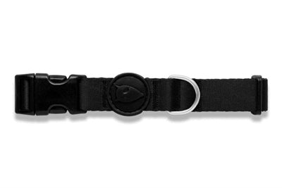 Product image of:MORSO HALSBAND HOND GERECYCLED PURENESS ZWART