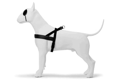 Product image of:MORSO NORWEGIAN HONDENTUIG GERECYCLED PURENESS ZWART