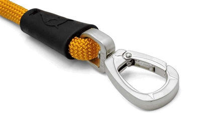 Product image of:MORSO HONDENRIEM REGULAR ROPE GERECYCLED GOLD GOUD