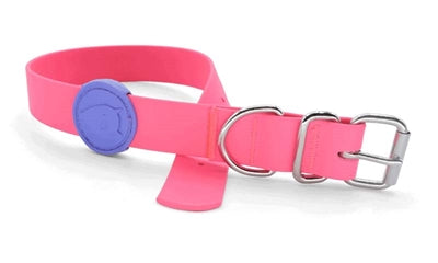 Product image of:MORSO HALSBAND HOND WATERPROOF GERECYCLED PASSION PINK ROZE