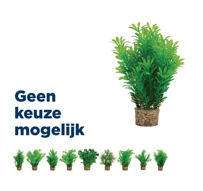 Product image of:ZOLUX ORNAMENT PASTIC PLANT OP STENEN NEUTRAAL ASSORTI