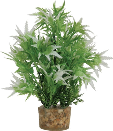 Product image of:ZOLUX ORNAMENT PASTIC PLANT OP STENEN NEUTRAAL ASSORTI