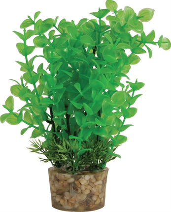 Product image of:ZOLUX ORNAMENT PASTIC PLANT OP STENEN NEUTRAAL ASSORTI