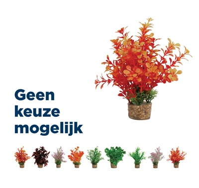 Product image of:ZOLUX ORNAMENT PASTIC PLANT OP STENEN VROLIJK ASSORTI