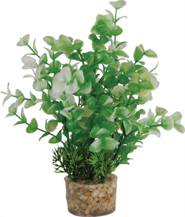 Product image of:ZOLUX ORNAMENT PASTIC PLANT OP STENEN VROLIJK ASSORTI