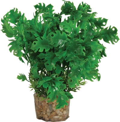 Product image of:ZOLUX ORNAMENT PASTIC PLANT OP STENEN VROLIJK ASSORTI
